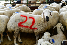 Başkanla Fotoğraflarım 